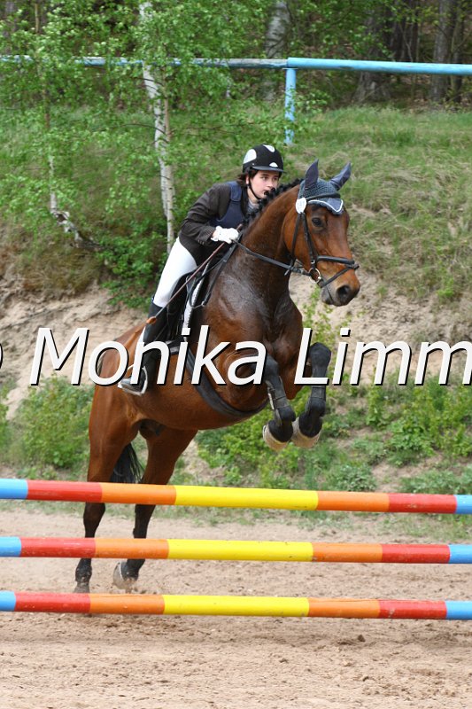 004M2366_Palma_U_Stilspring WB.JPG